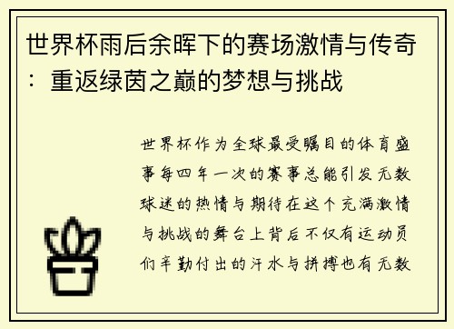 世界杯雨后余晖下的赛场激情与传奇:重返绿茵之巅的梦想与挑战 世界杯雨后余晖下的赛场激情与传奇:重返绿茵之巅的梦想与挑战